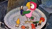 Prodigal parrot returns