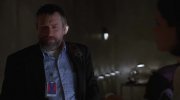 Wag the Dog