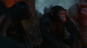 War for the Planet of the Apes