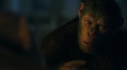 War for the Planet of the Apes