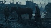 War Horse