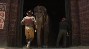 Water for Elephants