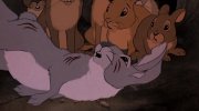 Watership Down
