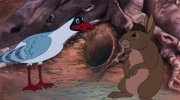 Watership Down