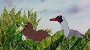 Watership Down