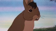 Watership Down