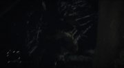 What We Do in the Shadows