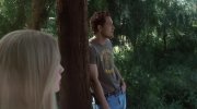 White Oleander