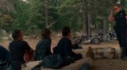 Wild Hogs