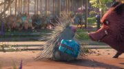 Wonder Park