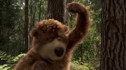Yogi Bear