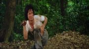 Drunken Master